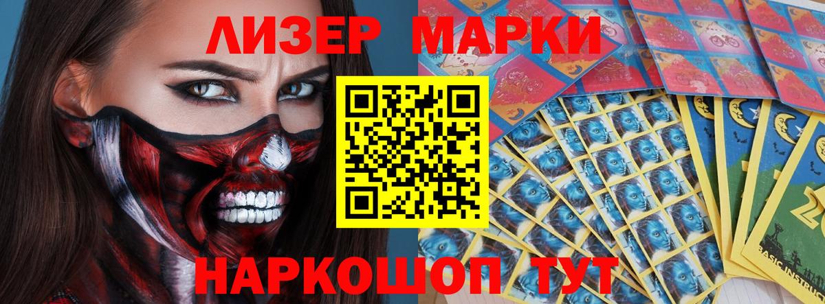 Конопля Ставрополь