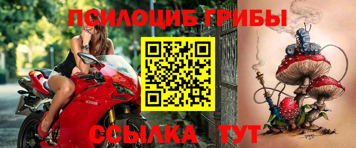 Галлюциногенные грибы ЛСД  Вход с VPN  где продают   Ставрополь 