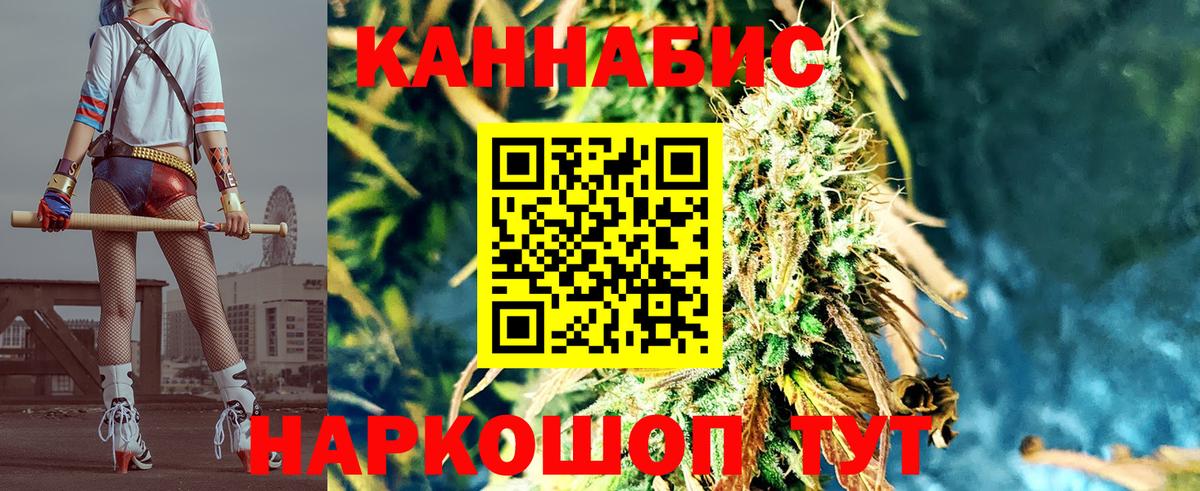 Бошки марихуана White Widow Ставрополь